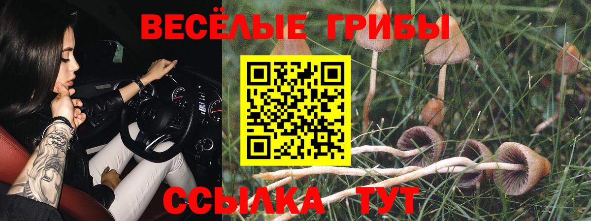 Галлюциногенные грибы Magic Shrooms  Галлюциногенные грибы MAGIC MUSHROOMS  Клинцы  Вход с VPN 
