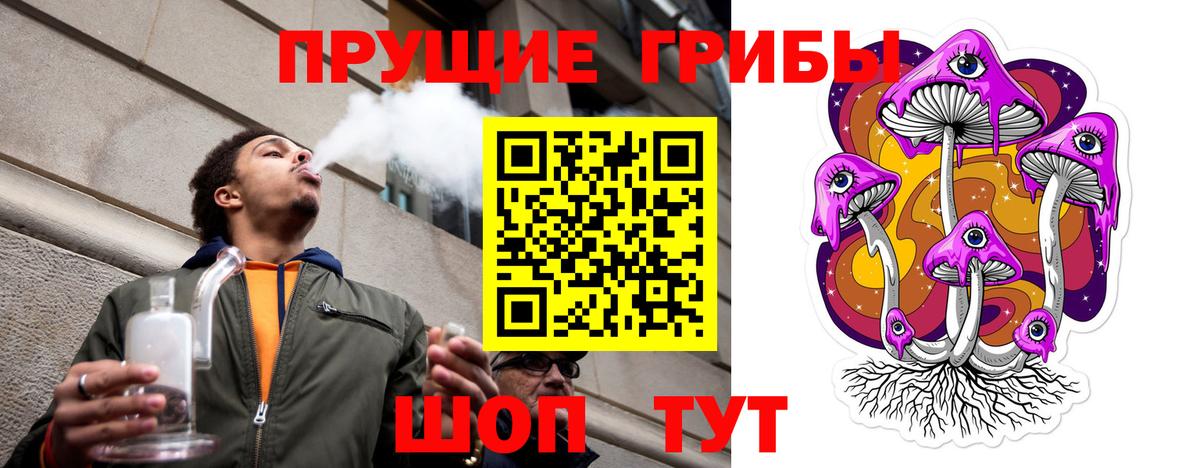 Псилоцибиновые грибы GOLDEN TEACHER Клинцы